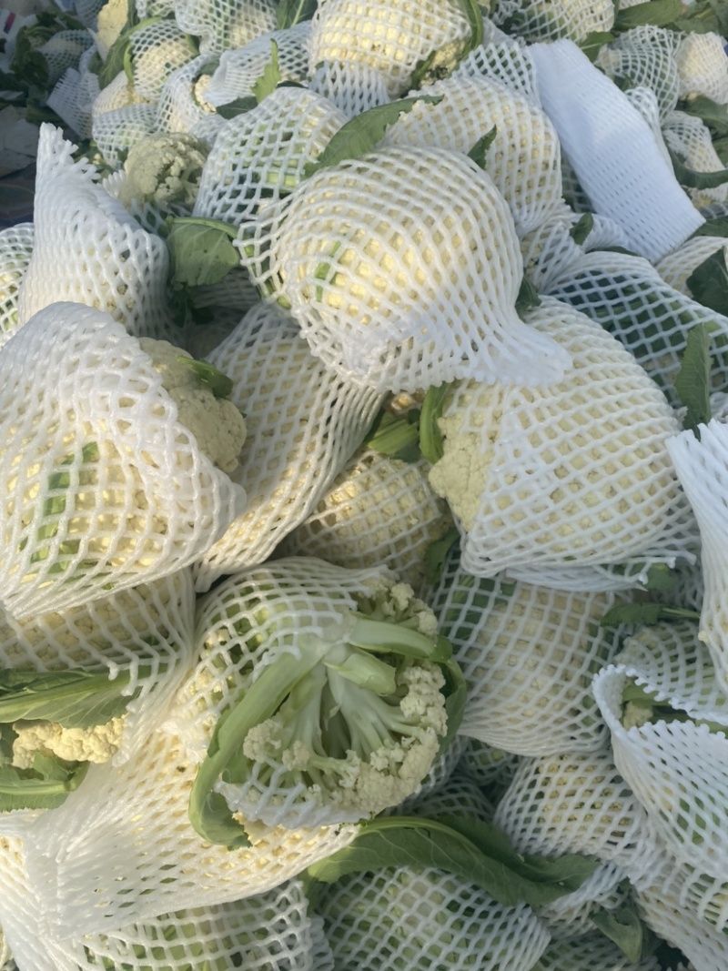 :【产地直供】有机花菜，青梗白面小米粒，对接加工厂