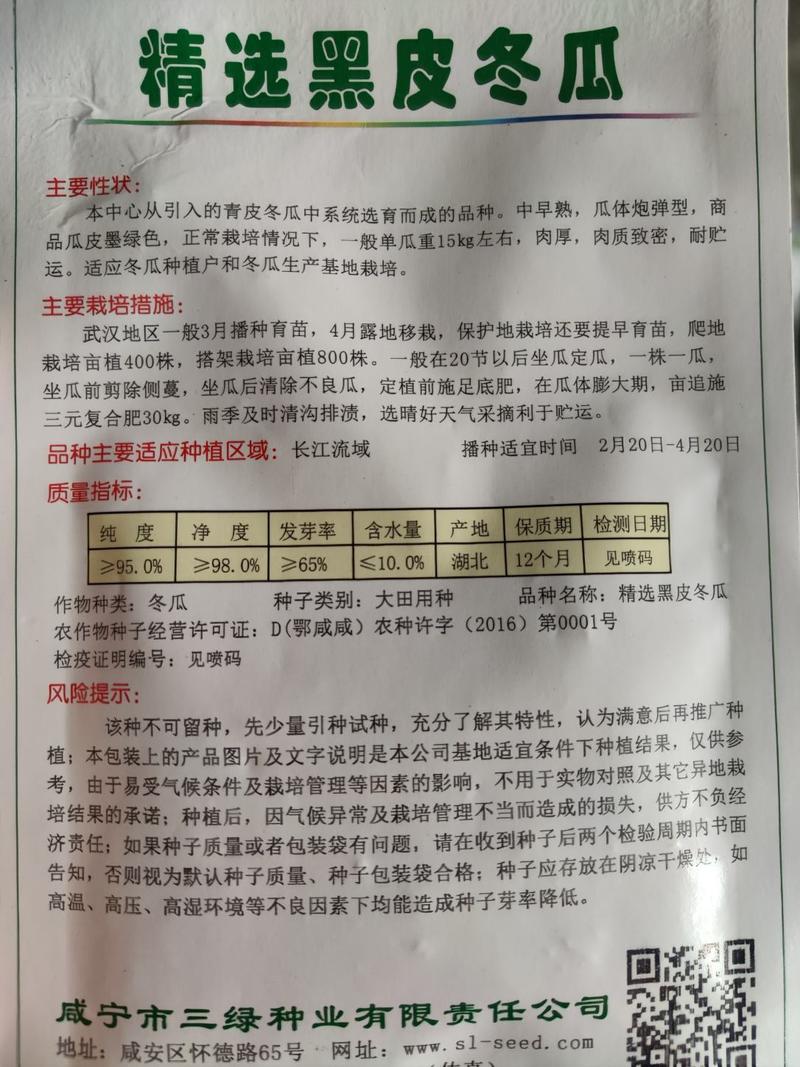 精选黑皮冬瓜种子，中早熟，瓜体炮弹型，商品瓜皮墨绿色，