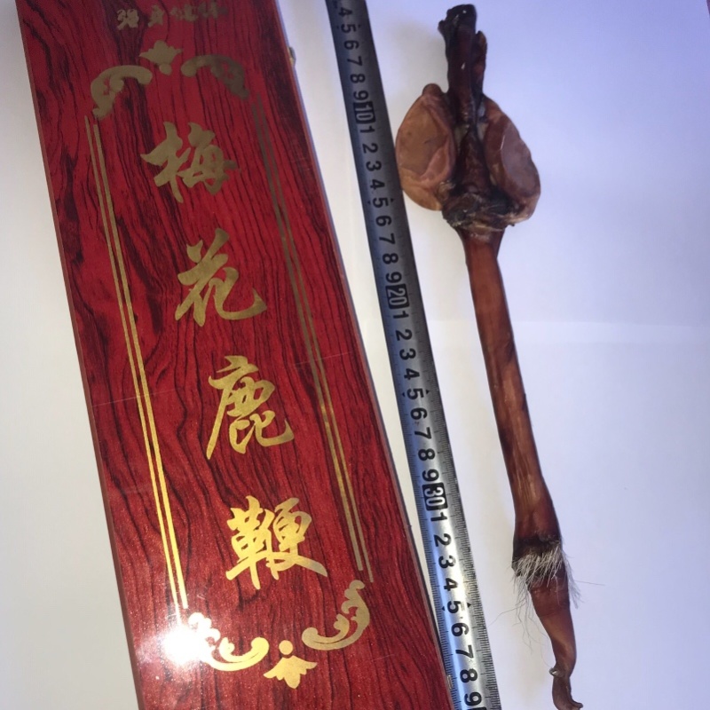 东北长白山成年梅花鹿壮鹿整支干鹿鞭礼盒装包邮