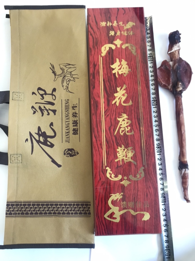 东北长白山成年梅花鹿壮鹿整支干鹿鞭礼盒装包邮