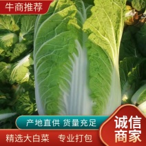 【推荐】河南黄心白菜，产地直发，品种齐全，欢迎选购