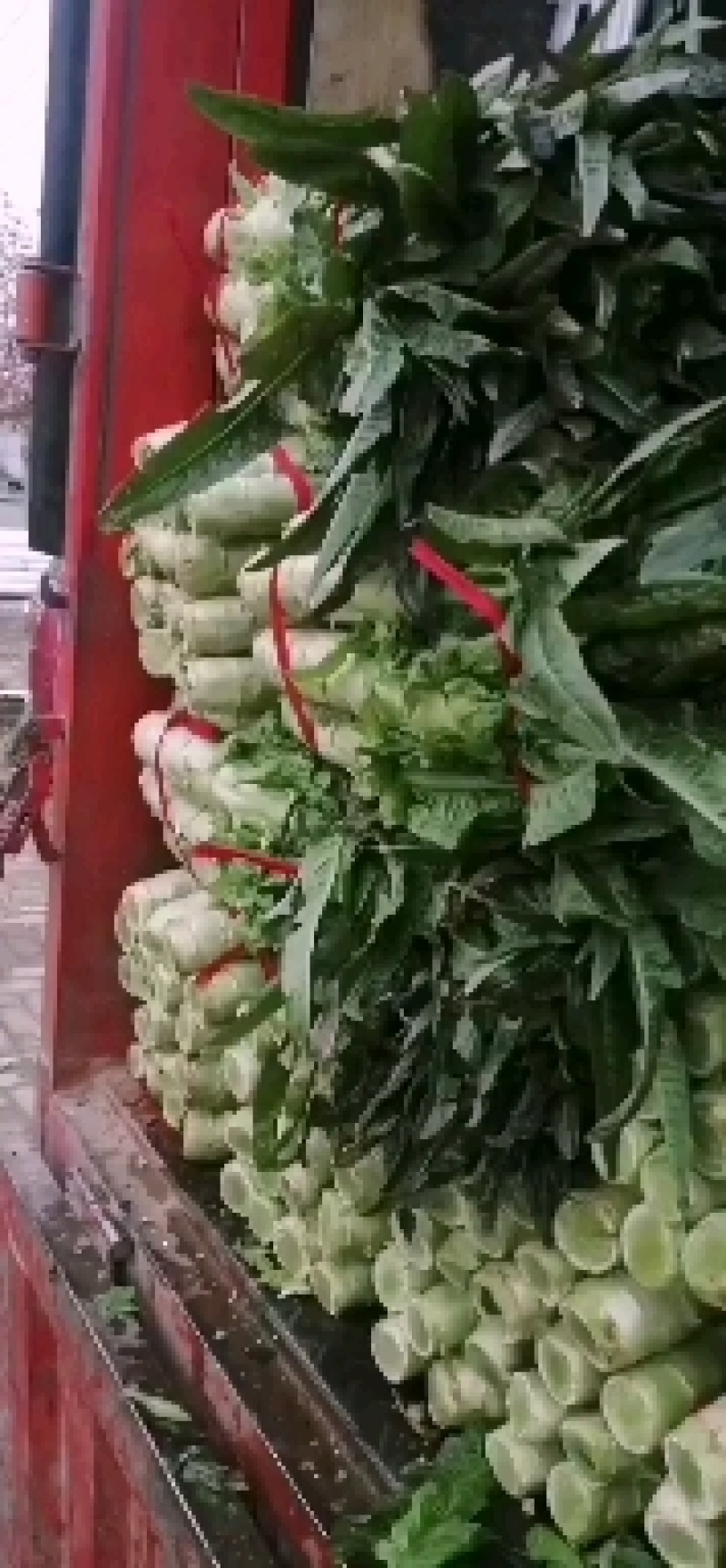 【推荐】南阳精品莴笋，红叶莴笋，产地直发，质量好欢迎