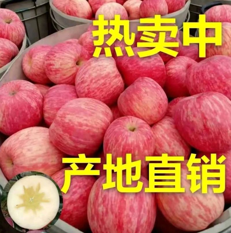 山东苹果正宗【红富士苹果】条纹全红脆甜多汁一手货源
