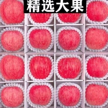 红富士苹果苹果大量上市产地直销价格美丽欢迎联系
