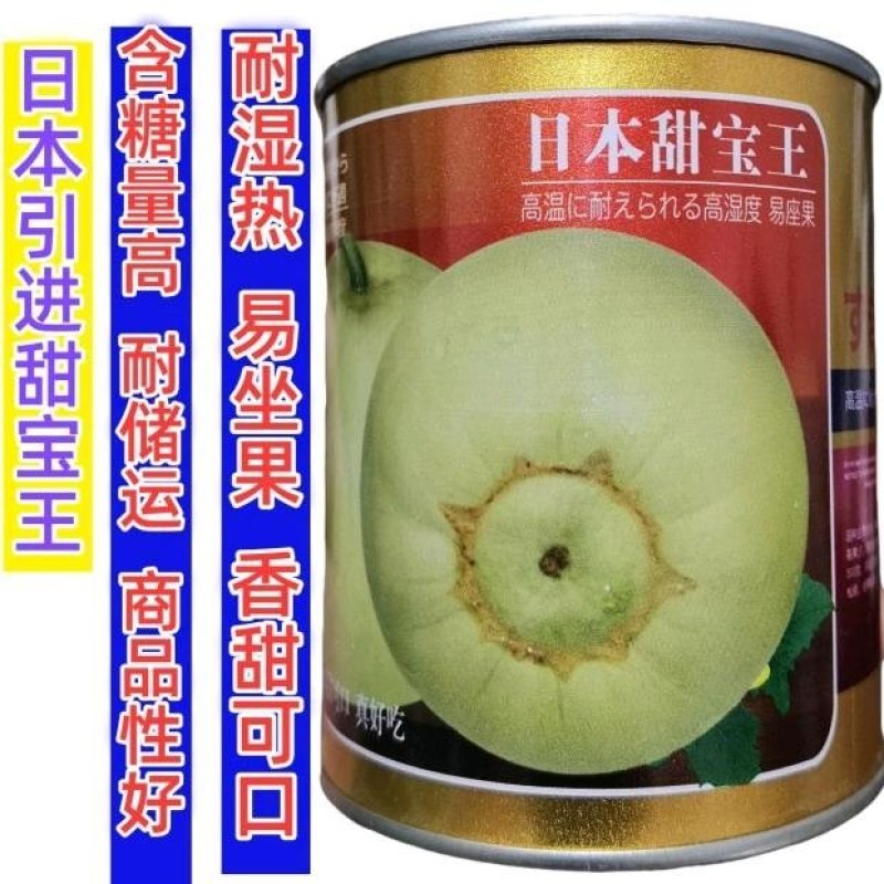【高品质甜宝】日本甜宝王甜瓜种子薄皮耐裂香瓜高甜瓜种子