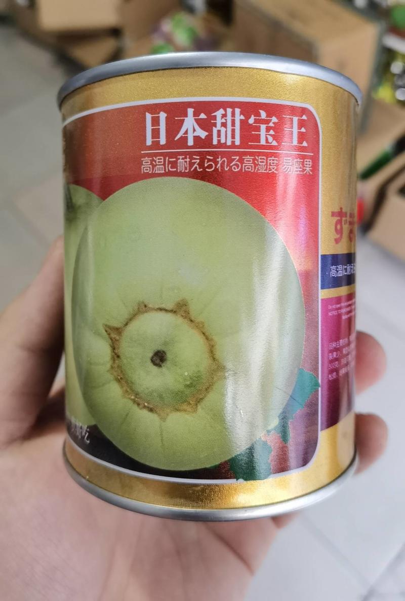 【高品质甜宝】日本甜宝王甜瓜种子薄皮耐裂香瓜高甜瓜种子