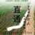 高密度浇地布水带厂家直销！省时又省力，老百姓用着轻松
