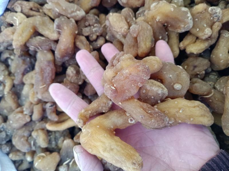 黄精，中药材鸡头黄精选个片质量保证欢迎咨询选购！