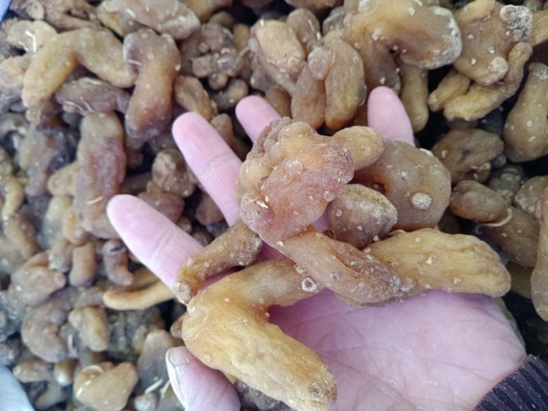 黄精，中药材鸡头黄精选个片质量保证欢迎咨询选购！