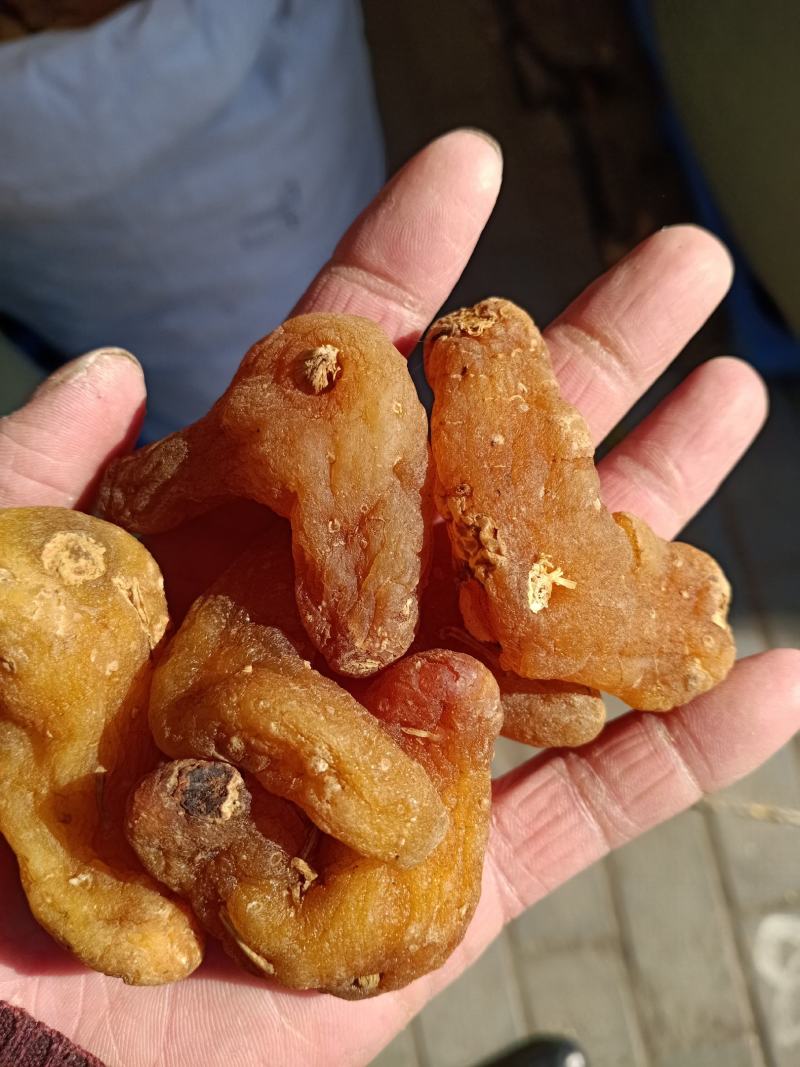 黄精，中药材鸡头黄精选个片质量保证欢迎咨询选购！