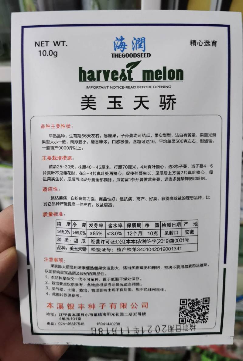 美玉天骄甜瓜种子，早熟薄皮耐裂高产耐湿热露地白皮甜瓜种子