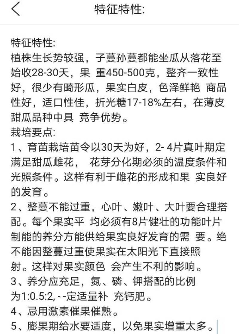 世纪甜王甜瓜种子早熟薄皮耐裂高产子蔓结瓜，白皮甜瓜种子