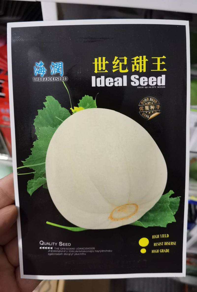 世纪甜王甜瓜种子早熟薄皮耐裂高产子蔓结瓜，白皮甜瓜种子
