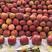 正宗新疆阿克苏冰糖心苹果红富士甜精品原产地直发一件代发