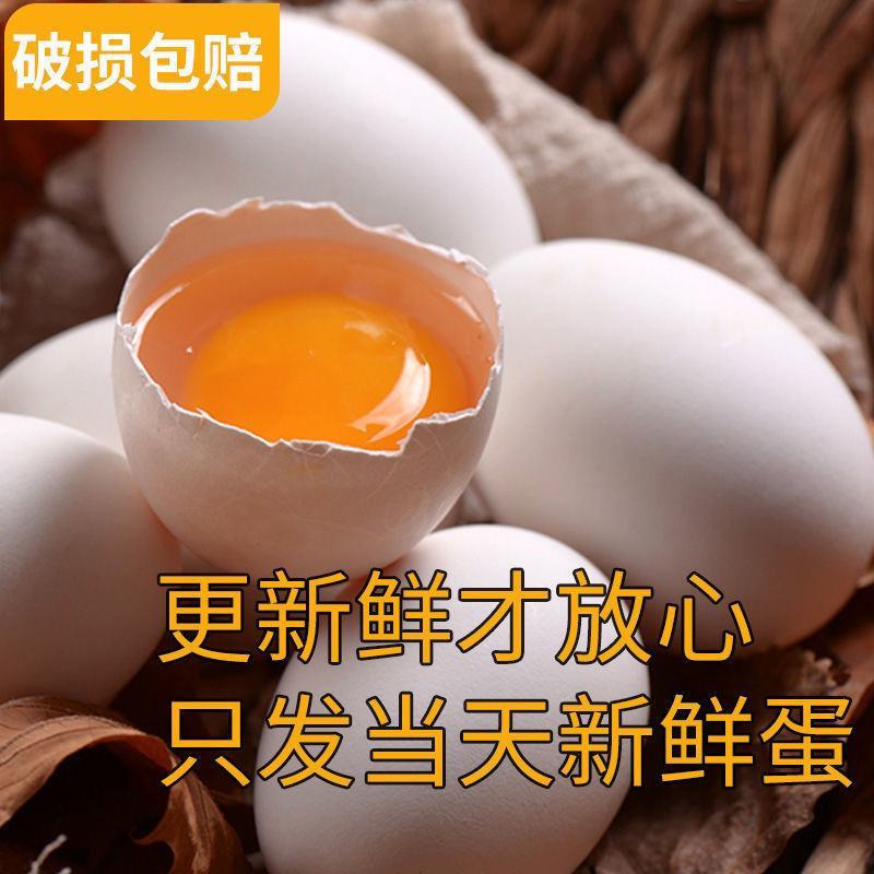 鹅蛋新鲜鹅蛋正宗农家散养现捡现发新鲜孕妇宝宝鹅蛋