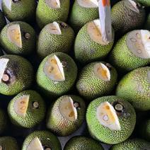 进口越南红肉菠萝蜜大量供应，一手货源价格美丽，有需要的联