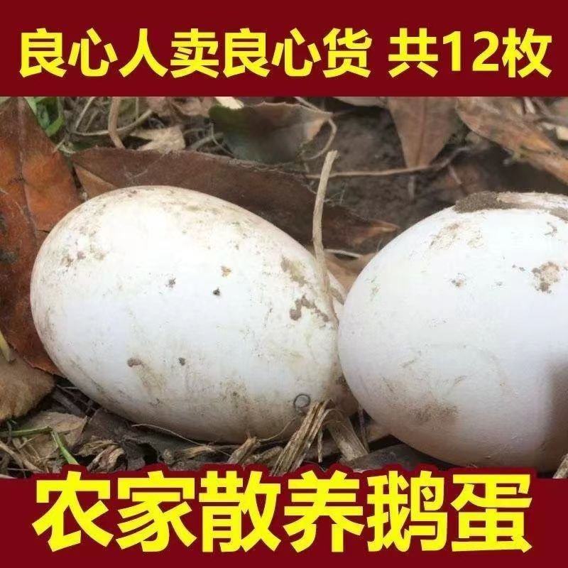 鹅蛋新鲜鹅蛋正宗农家散养现捡现发新鲜孕妇宝宝鹅蛋