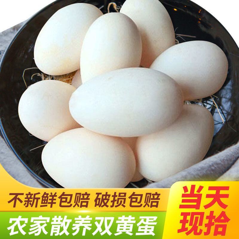 鹅蛋新鲜鹅蛋正宗农家散养现捡现发新鲜孕妇宝宝鹅蛋