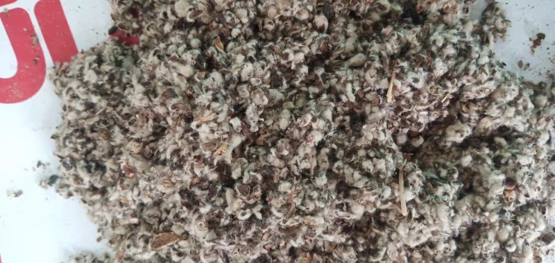 【优质好货】棉籽壳，品质优先，量大优惠，厂家直销！
