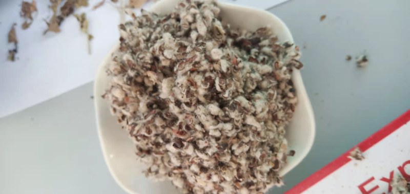 【优质好货】棉籽壳，品质优先，量大优惠，厂家直销！