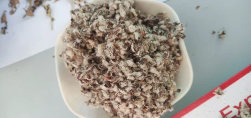【优质好货】棉籽壳，品质优先，量大优惠，厂家直销！