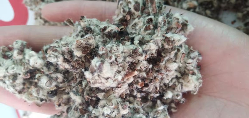 【优质好货】棉籽壳，品质优先，量大优惠，厂家直销！