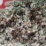 【优质好货】棉籽壳，品质优先，量大优惠，厂家直销！
