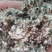 【优质好货】棉籽壳，品质优先，量大优惠，厂家直销！