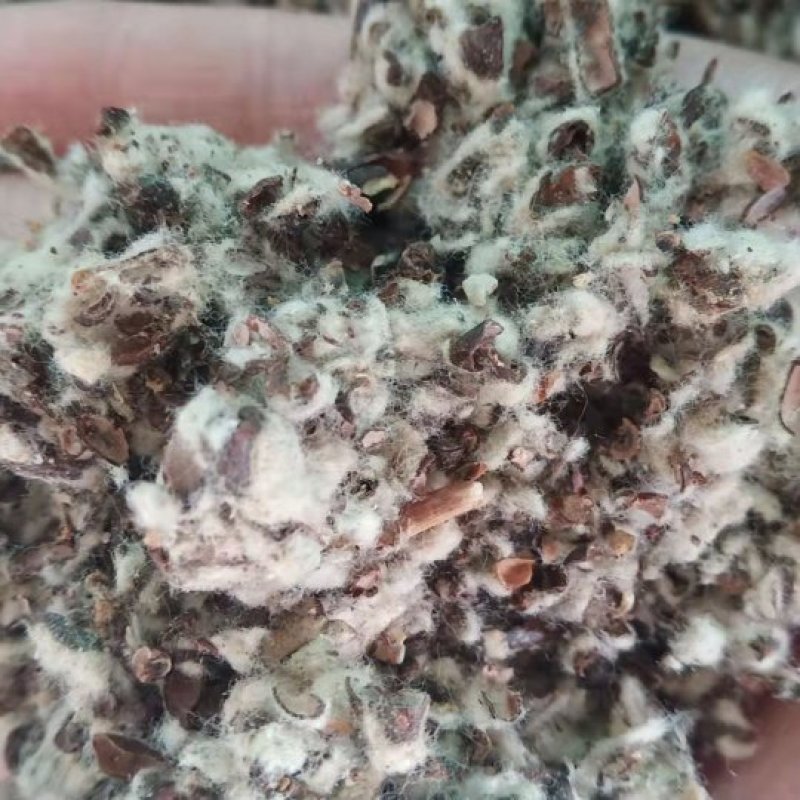 【优质好货】棉籽壳，品质优先，量大优惠，厂家直销！