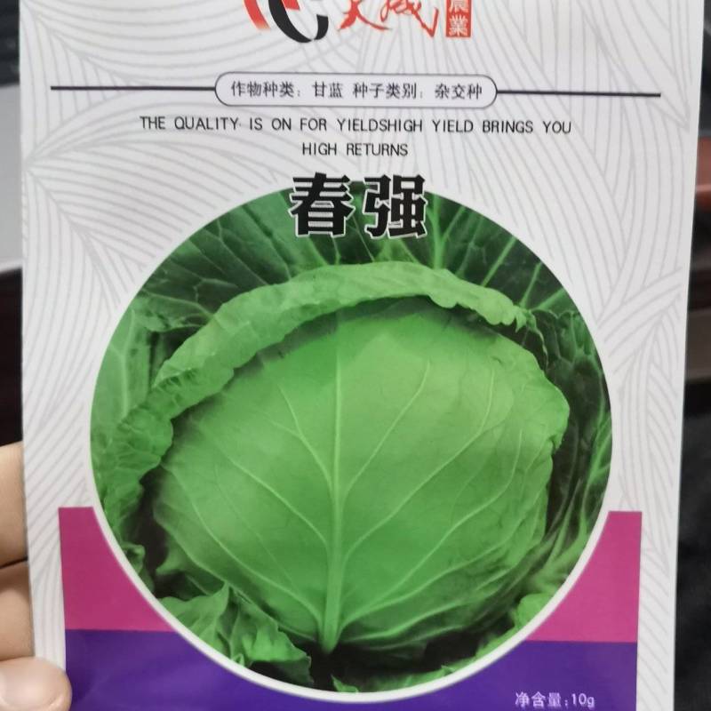 春强甘蓝种子