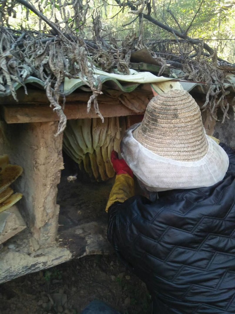 汝阳乡核拉香土蜂蜜