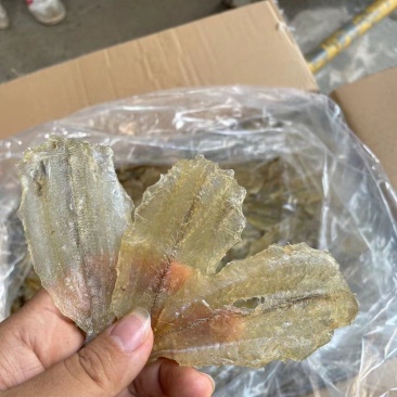 湛江特产多味鱼柳开心鱼片烧烤鱼干沙箭鱼片沙丁鱼片海味海鲜