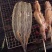 烧烤鳗鱼柳原料烧烤现吃双拼手撕鳗鱼干鳗鱼片马步鱼干海