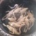 常年供养散养黄油老麻鸭，蛋鸭，老水鸭，农村一手货源。