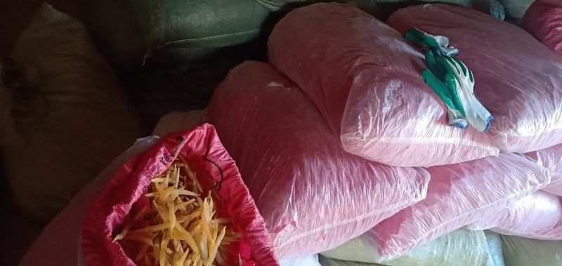 广西良种大天冬干品含量高质量好