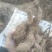 精品山药豆苗