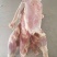 去皮鹅肉