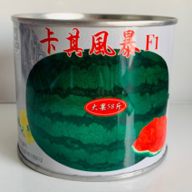 高抗重茬抗病毒病特大果西瓜种子管理省工大红瓤西瓜种籽