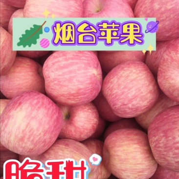 烟台栖霞苹果，产地直发，货源充足，诚信合作