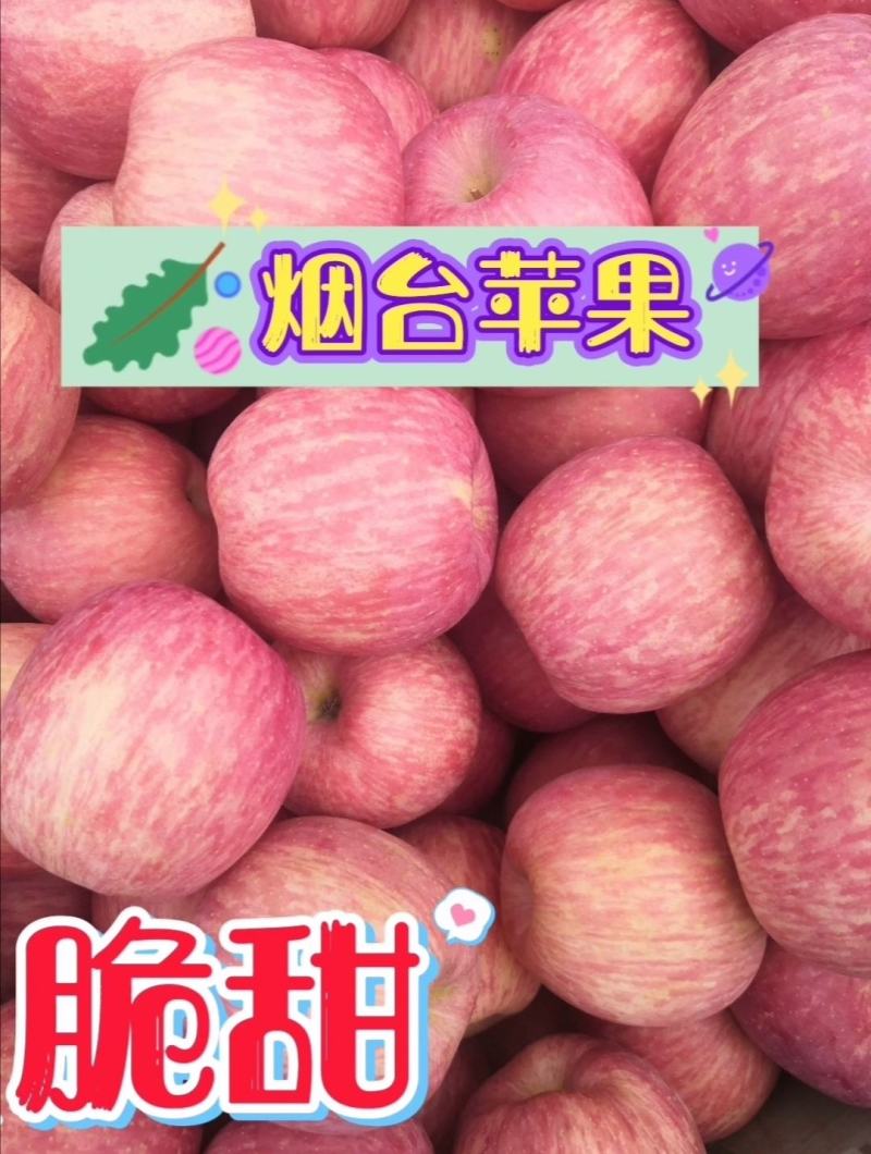 烟台栖霞苹果，产地直发，货源充足，诚信合作