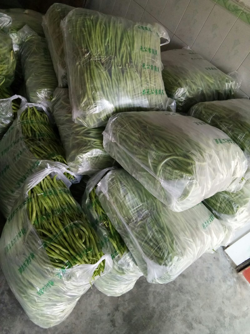 无筋豆（新鮮无筋豆現貨）