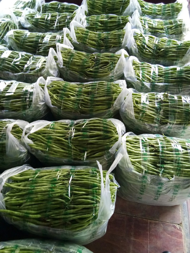 无筋豆（新鮮无筋豆現貨）