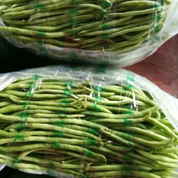 无筋豆（新鮮无筋豆現貨）