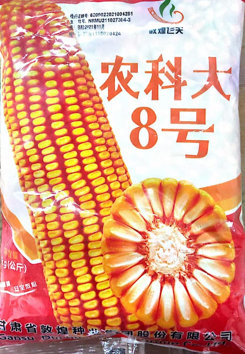 农科大8号玉米种子，棒大产量高，中晚熟，红轴，8000粒