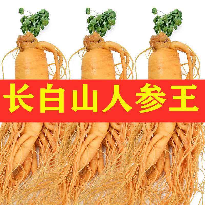 长白山人参鲜人参白参人生泡酒料煲汤东北特产