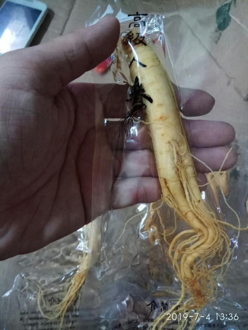 长白山人参鲜人参白参人生泡酒料煲汤东北特产