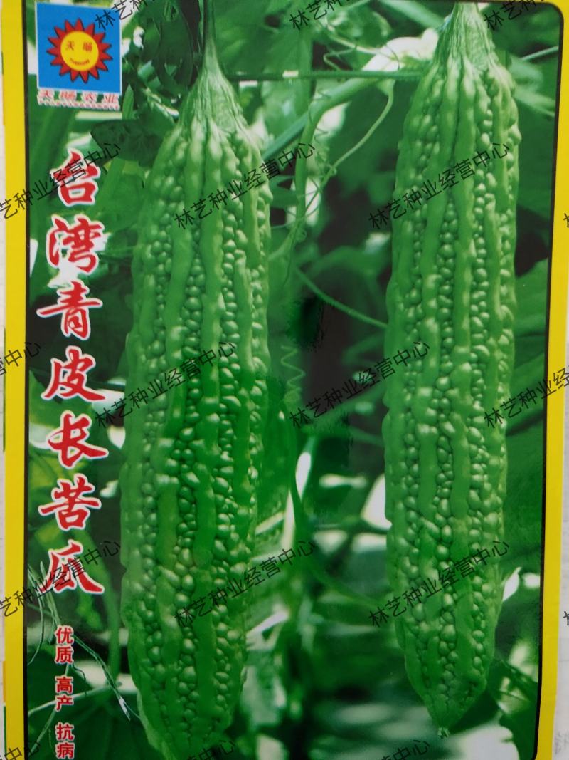 台湾长绿苦瓜种籽庭院阳台菜园蔬菜种子夏季青皮白苦瓜爬藤