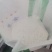 精制雪隆雪牌马铃薯淀粉，货比三家，质量是价格的标准！