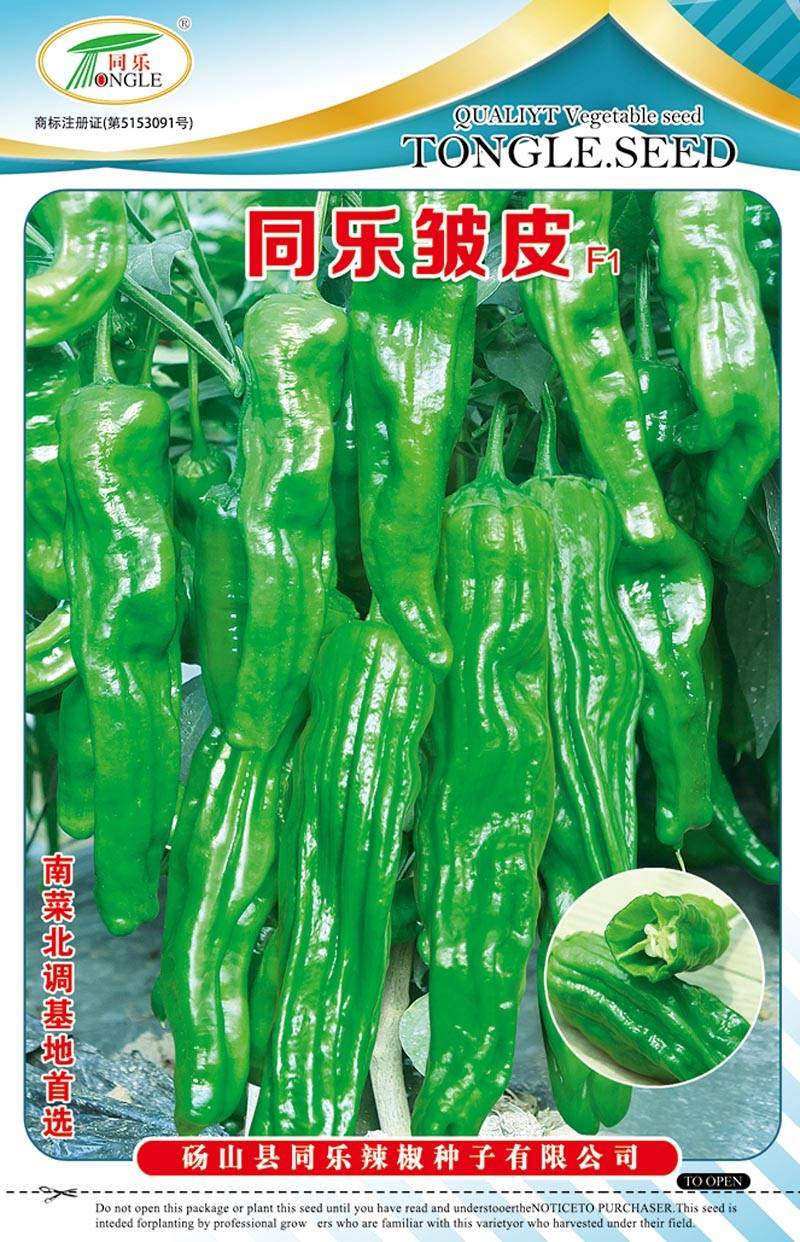 同乐皱皮椒薄皮香椒辣椒种子10克袋装包邮