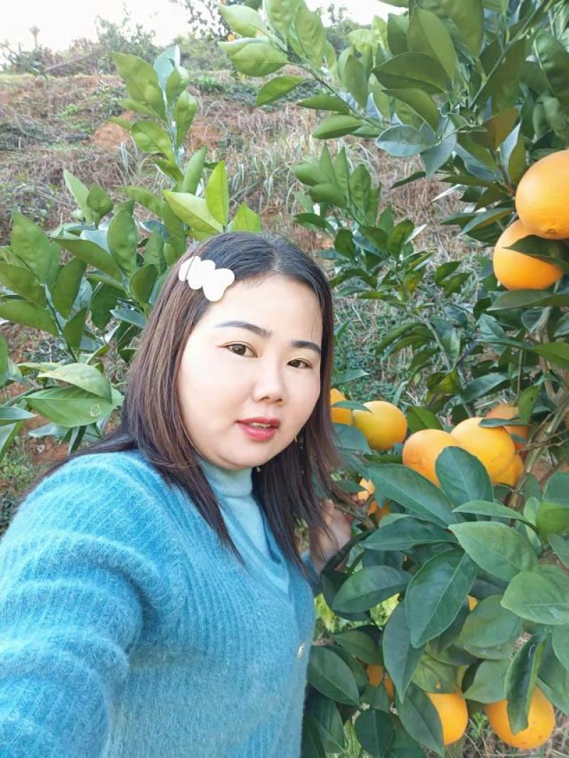 纽荷尔脐橙